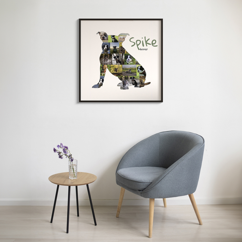 Fotocollage als zittende American Bully in een zwarte lijst boven een grijze fauteuil in de woonkamer