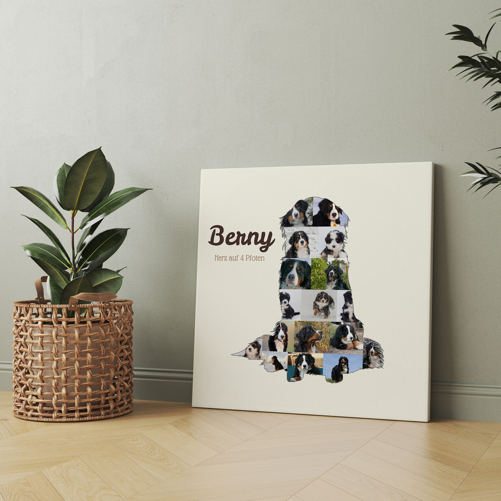 Berner sennenhond-fotocollage met naam op canvas, op de vloer tegen een grijze muur naast een kamerplant