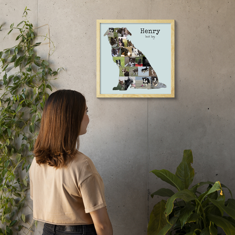 Bordercollie-fotocollage met naam en zittend silhouet, in een lichte houten lijst aan een betonwand naast planten