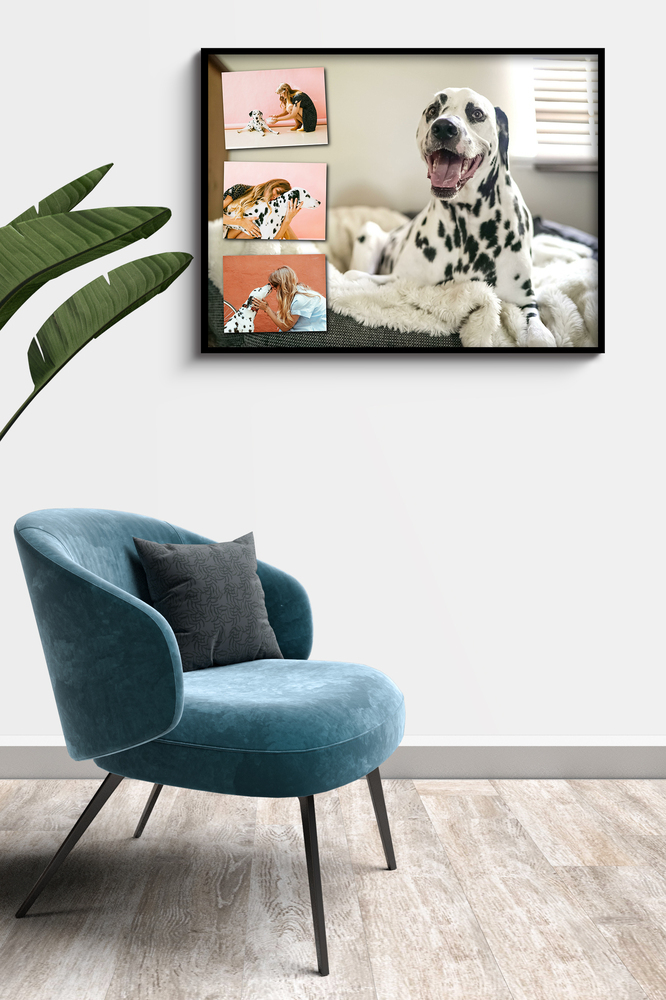 Fotocollage van een dalmatiër in een zwarte lijst boven een petrolblauwe fauteuil naast een groene plant