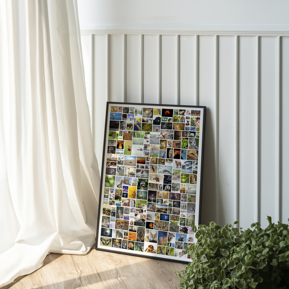 Fotocollage met veel natuurfoto’s in een zwarte lijst, tegen een wand met panelen naast het raam
