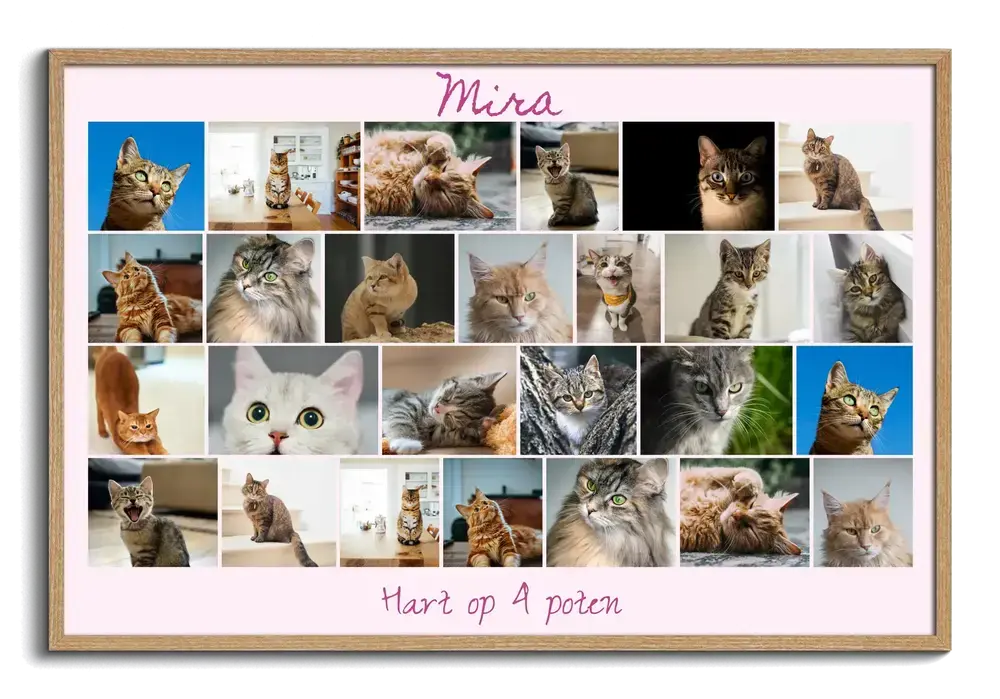 Kattenfotocollage met naam en tekst op een lichtroze achtergrond in een houten lijst, cadeau voor kattenliefhebbers