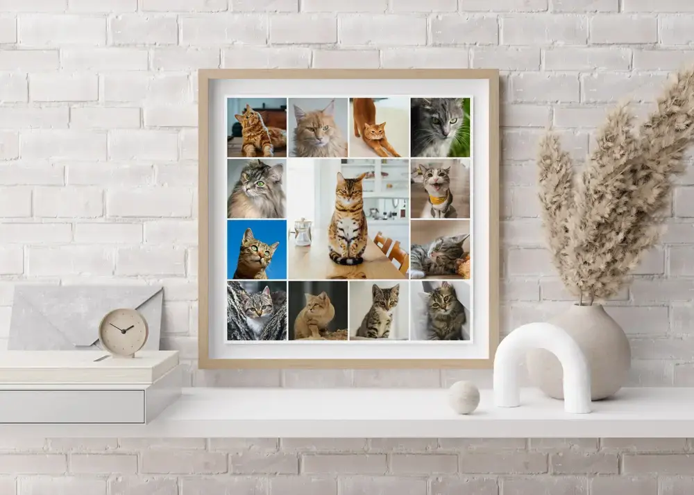 Kattenfotocollage met grote middenfoto in een licht houten lijst op een witte plank tegen een witte bakstenen muur