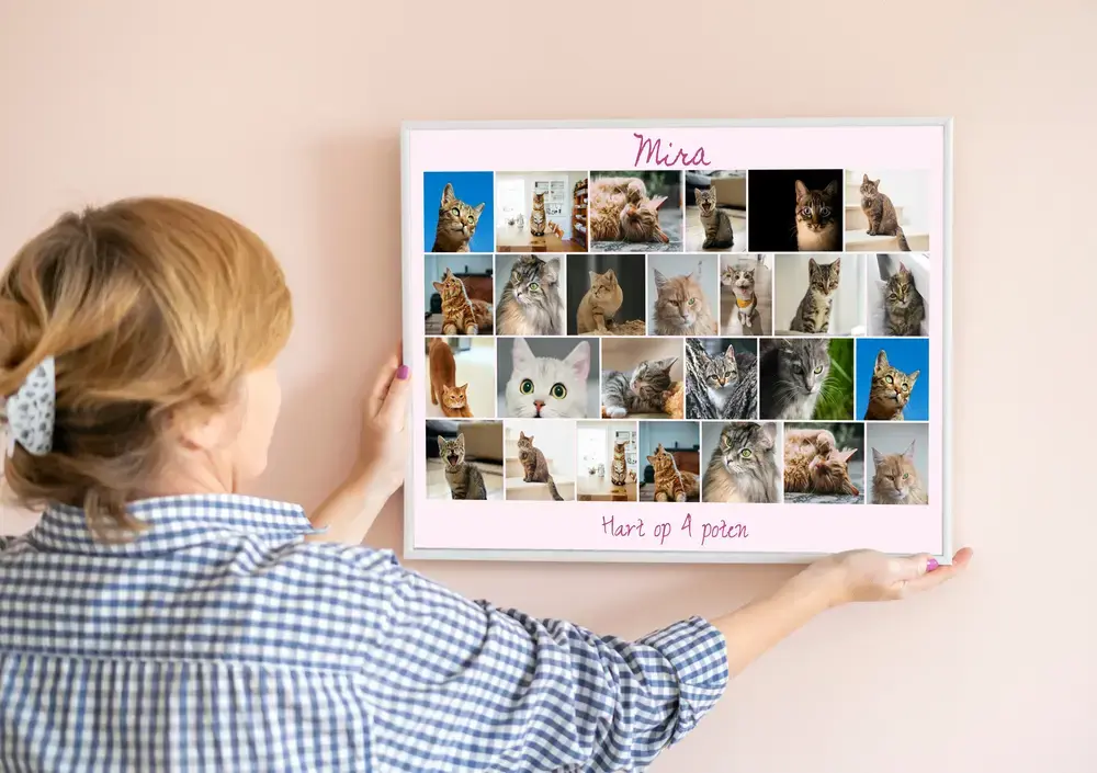 Fotocollage met kattenfoto’s in rijen, gepersonaliseerd met naam en tekst, in een witte lijst aan een lichte muur