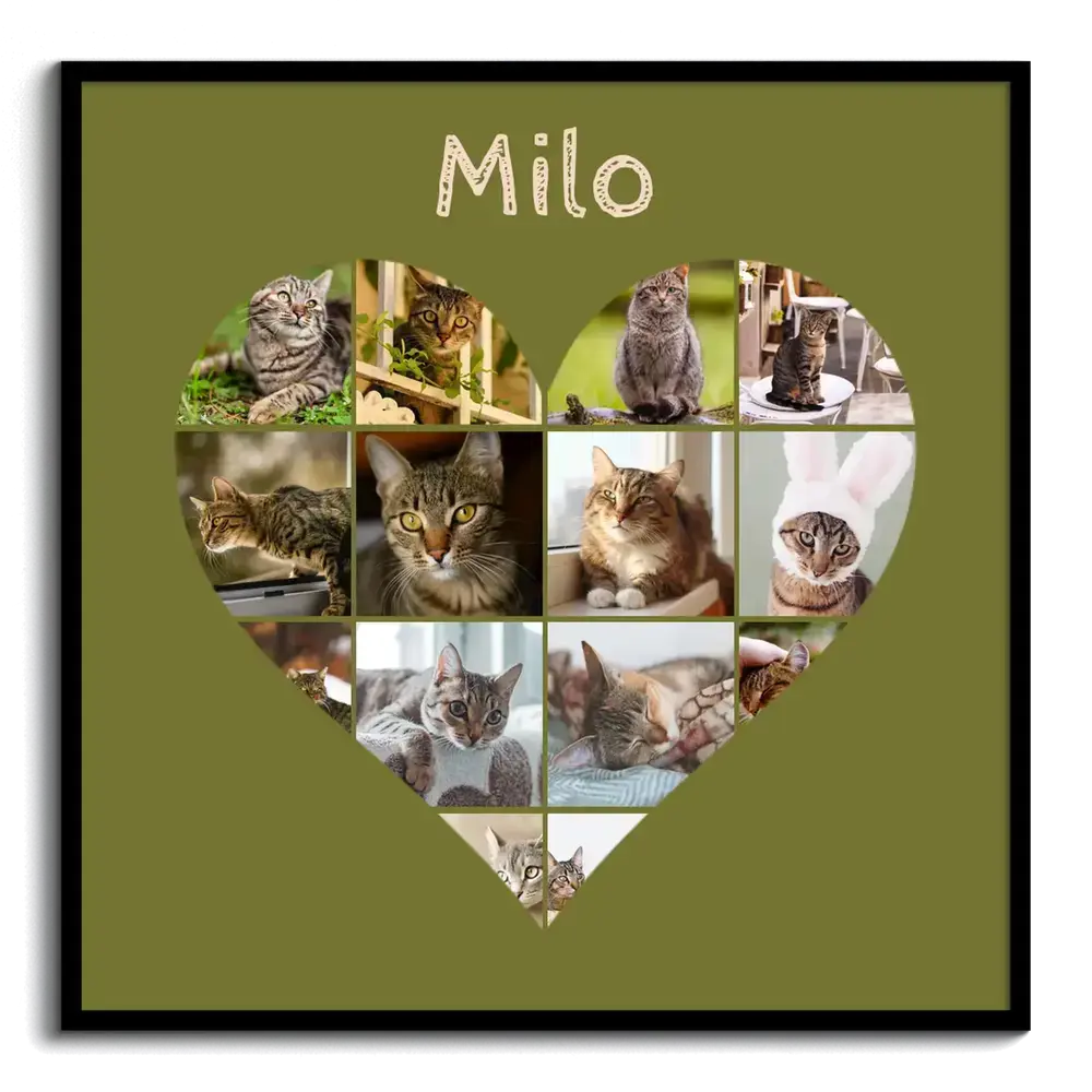 Hartvormige fotocollage met kattenfoto’s en naam op een olijfgroene achtergrond, in een zwarte lijst
