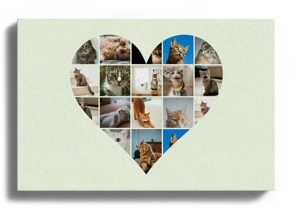 Liggend canvas met kattenfoto’s in hartvorm op een lichtgroene achtergrond, wanddecoratie voor kattenliefhebbers