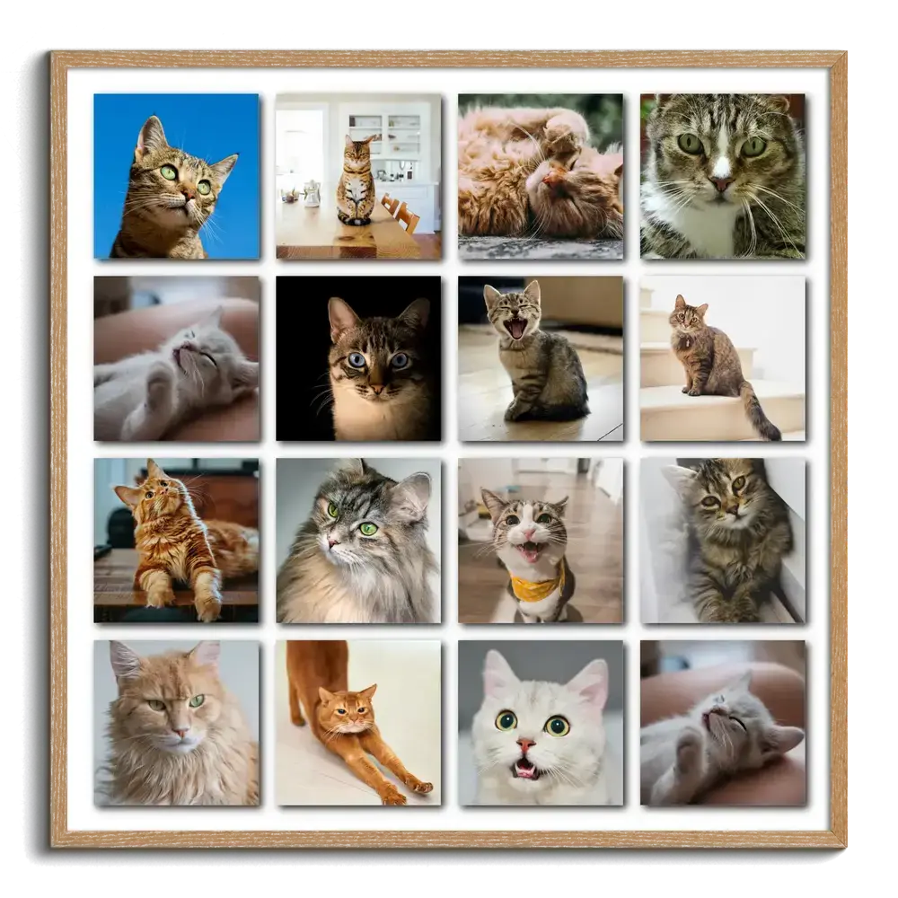 Fotocollage met 16 kattenfoto’s in een raster met schaduwen, in een naturel houten lijst voor kattenliefhebbers