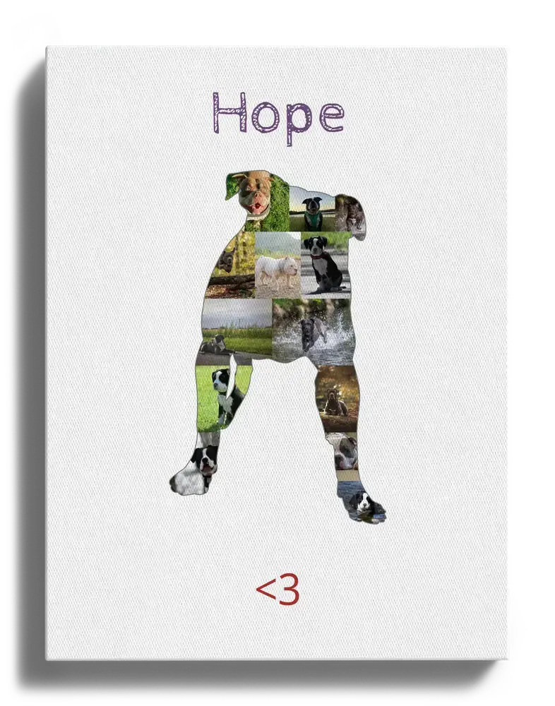 Fotocollage op canvas als staande American Bully, met een persoonlijke naam en een rood hartteken