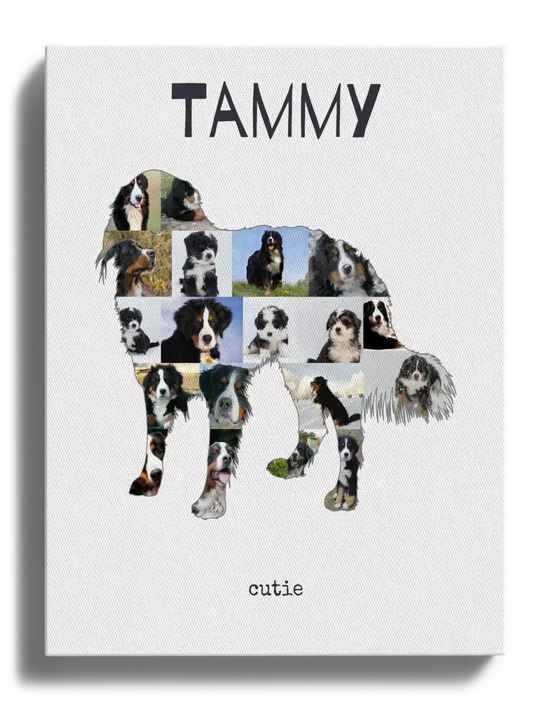 Fotocollage op canvas in de vorm van een staande berner sennenhond, met naam en tekst op een witte achtergrond