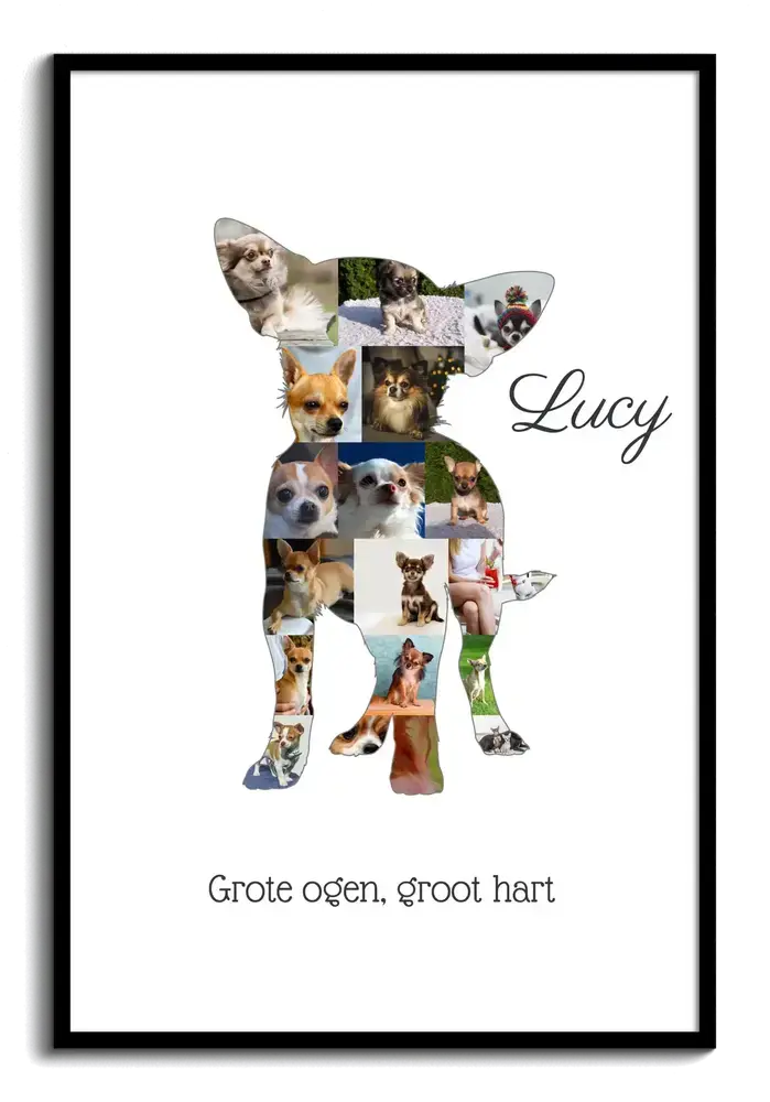 Fotocollage in de vorm van een chihuahua met naam en tekst, op een witte achtergrond in een zwarte lijst