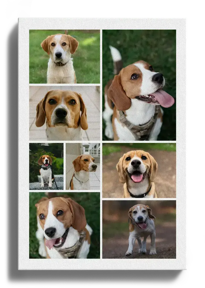 Staande beagle-fotocollage op canvas met rasterfoto’s in verschillende formaten, cadeau voor hondenliefhebbers