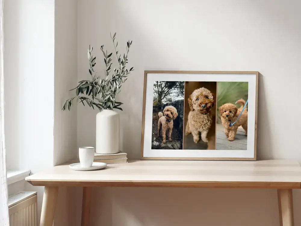 Ingelijste hondenfotocollage met drie foto's van een poedel op een licht bureau naast een vaas en kopje