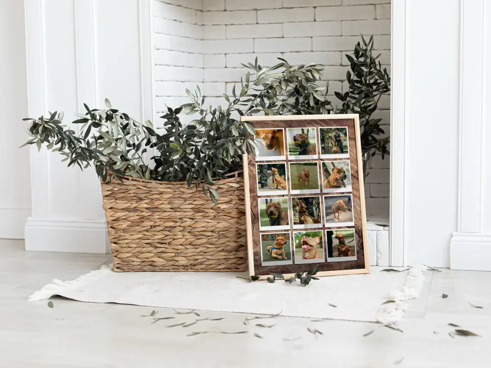 Staande hondenfotocollage met twaalf polaroidfoto's op de vloer naast een plantenmand voor een witte bakstenen muur