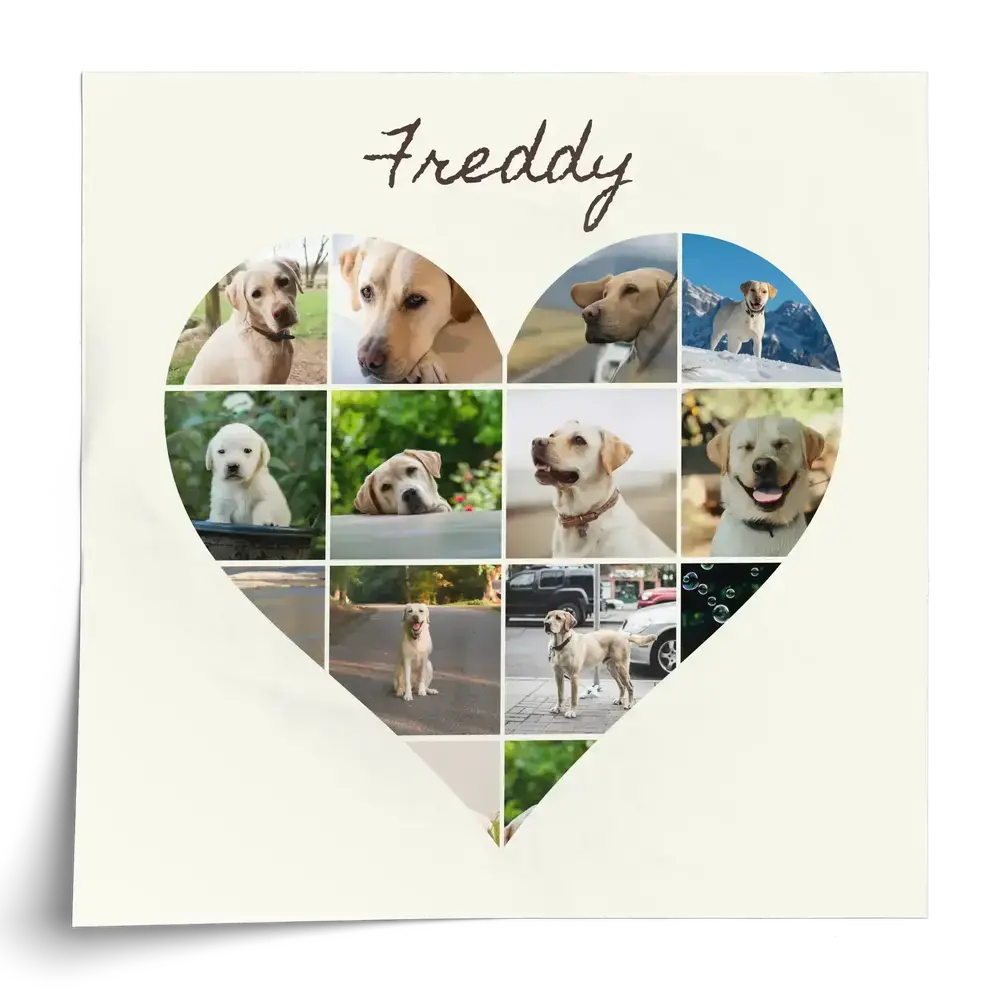 Poster met hartvormige collage van labradorfoto's en eigen naam op een crèmekleurige achtergrond