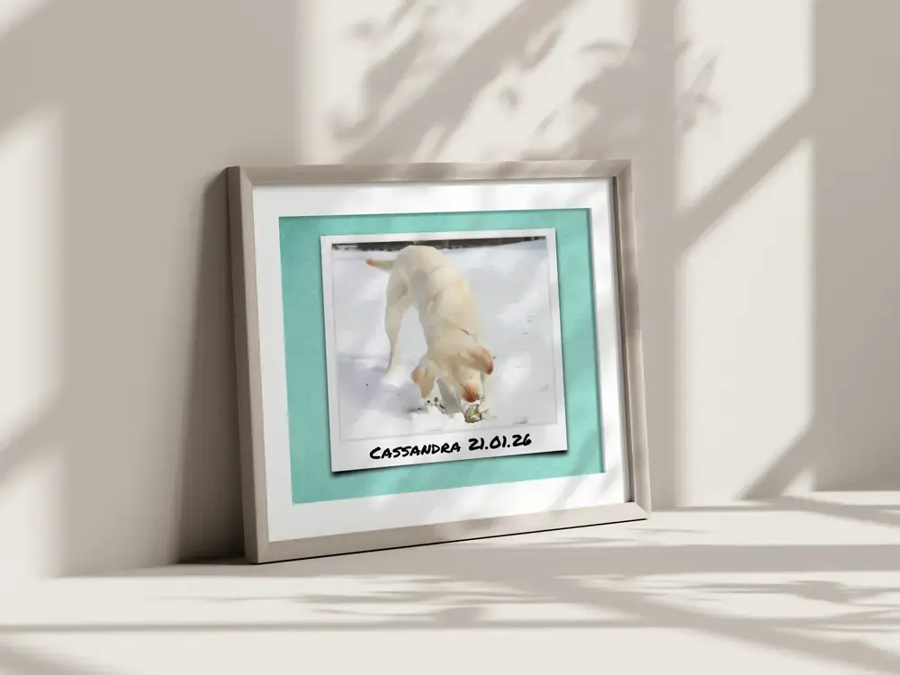 Ingelijste hondenfoto in polaroidstijl op turquoise met naam en datum, tegen een zonovergoten muur