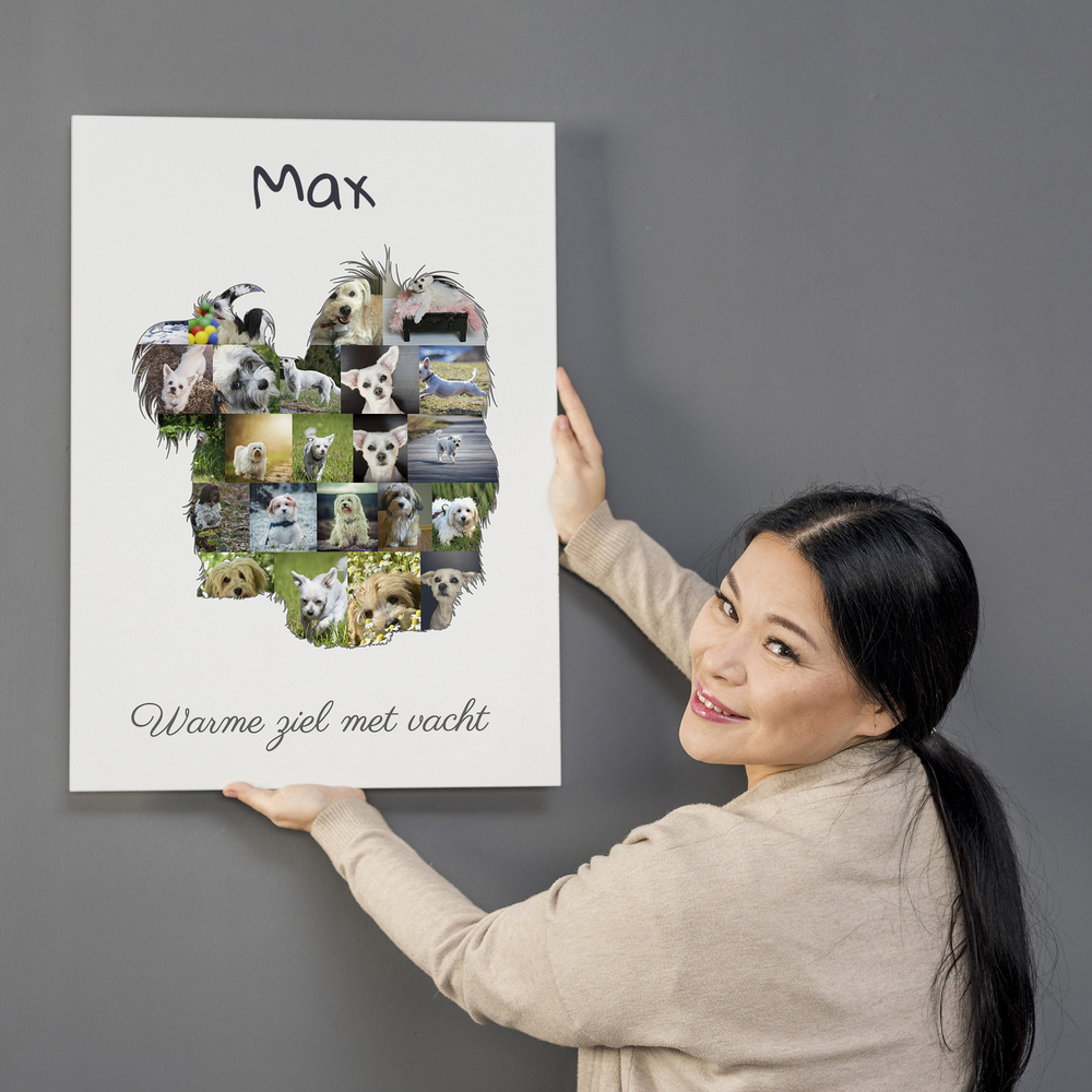 Fotocollage in de vorm van een Havanezer met naam en spreuk, zonder lijst tegen een grijze muur
