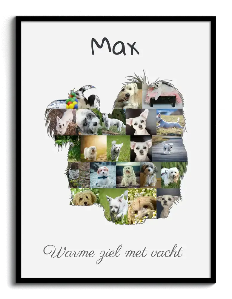 Havanezer-fotocollage in hondensilhouet met naam en tekst op lichte achtergrond, in zwarte lijst voor hondenliefhebbers