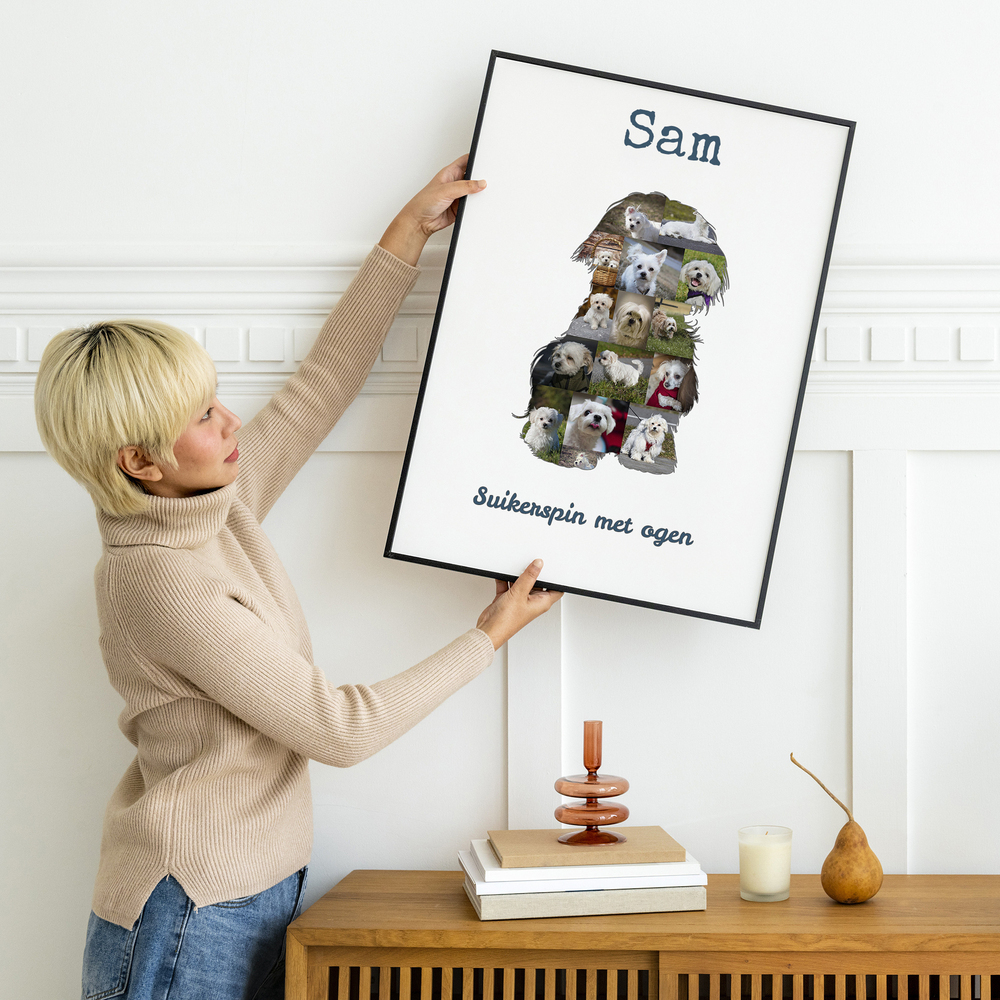 Fotocollage in de vorm van een Maltezer met naam en tekst, in een zwarte lijst boven een houten kast