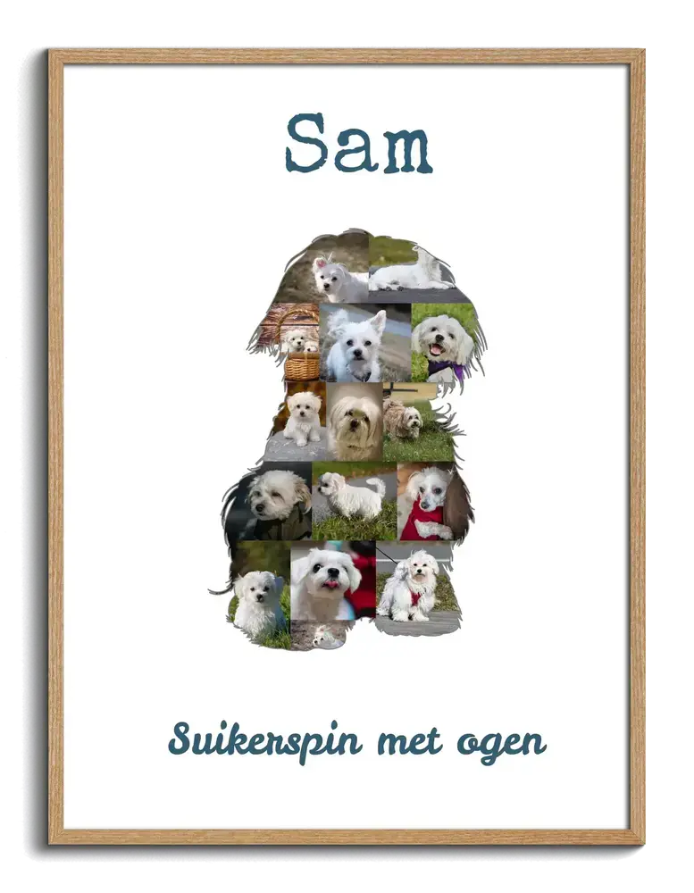 Fotocollage in de vorm van een zittende Maltezer met naam en tekst, op wit in een naturel houten lijst