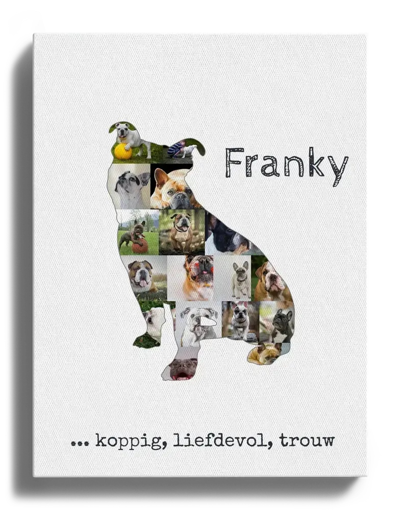 Wit canvas met fotocollage in het silhouet van een zittende Old English Bulldog, met naam en persoonlijke tekst