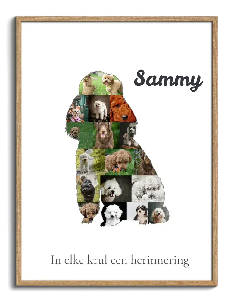 Fotocollage in de vorm van een zittende poedel met naam en tekst op een witte achtergrond, in een houten lijst