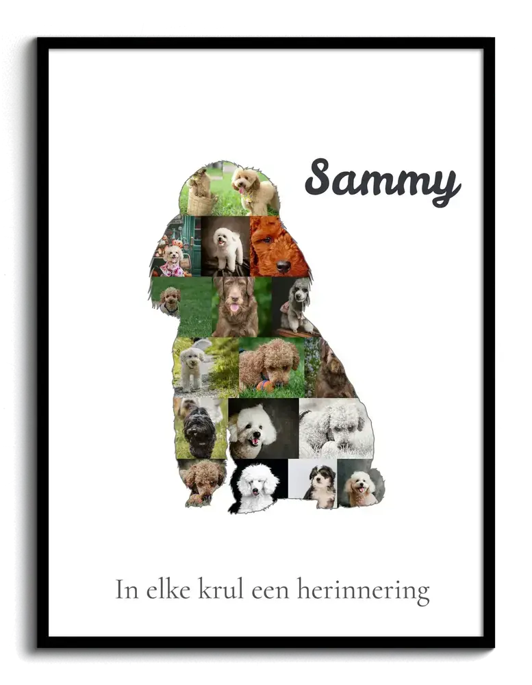 Fotocollage in de vorm van een zittende poedel met naam en tekst op een witte achtergrond, in een zwarte lijst