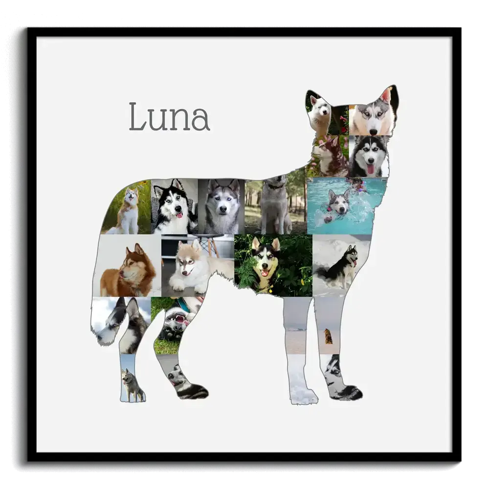 Fotocollage in de vorm van een staande husky met naam in een zwarte lijst, cadeau voor hondenliefhebbers
