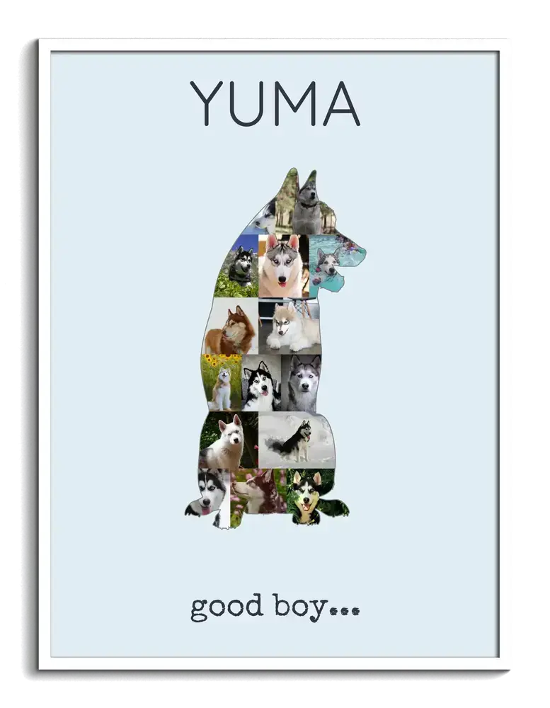 Fotocollage als zittende husky op een lichtblauwe achtergrond, met naam en persoonlijke tekst in een witte lijst