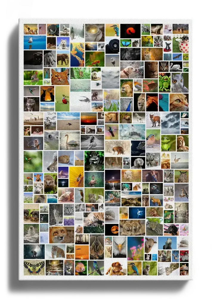 Fotocollage op canvas in staand formaat met veel dieren- en natuurfoto’s in een speelse indeling