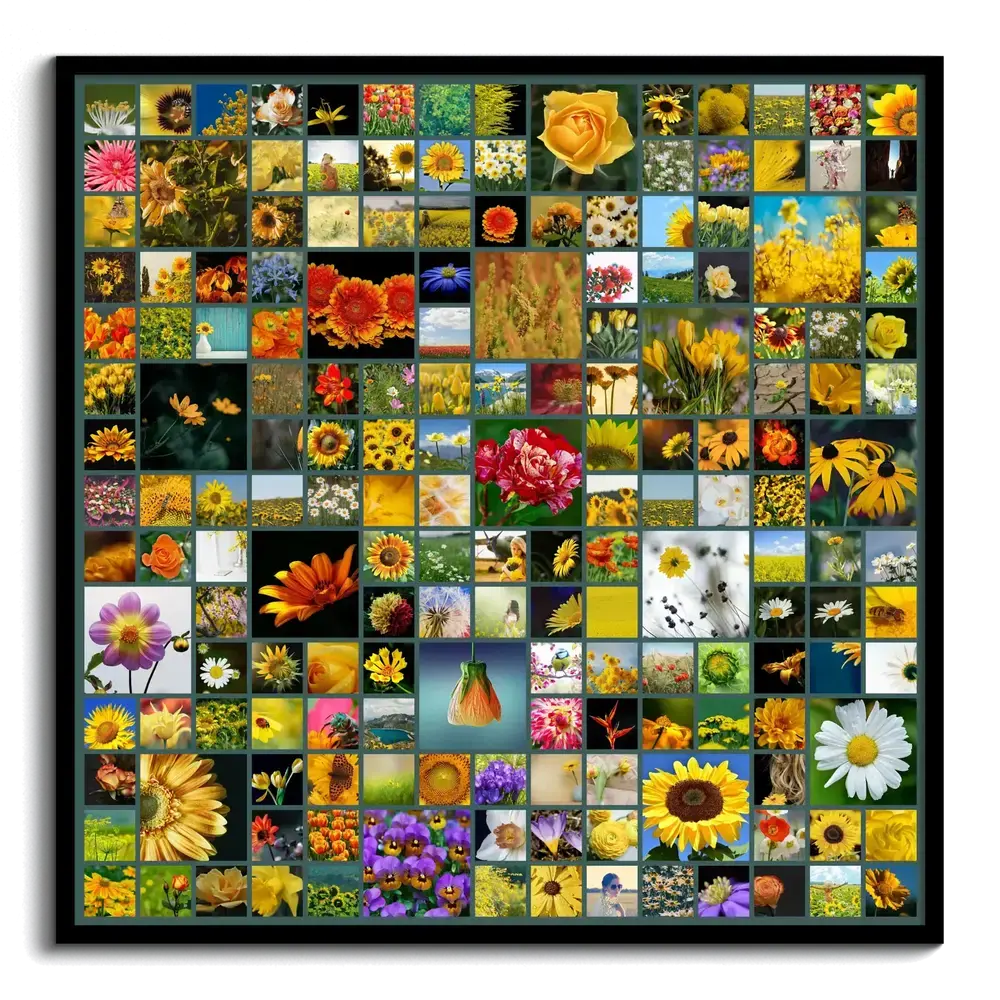 Vierkante fotocollage met veel kleurrijke bloemenfoto’s in vakken van verschillende formaten, in een zwarte lijst