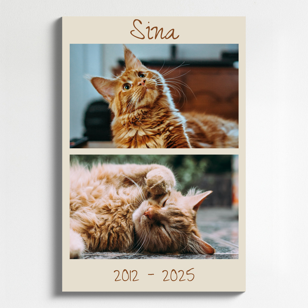 Fotocollage ter nagedachtenis aan een kat op staand canvas, met naam en levensjaren op een beige achtergrond