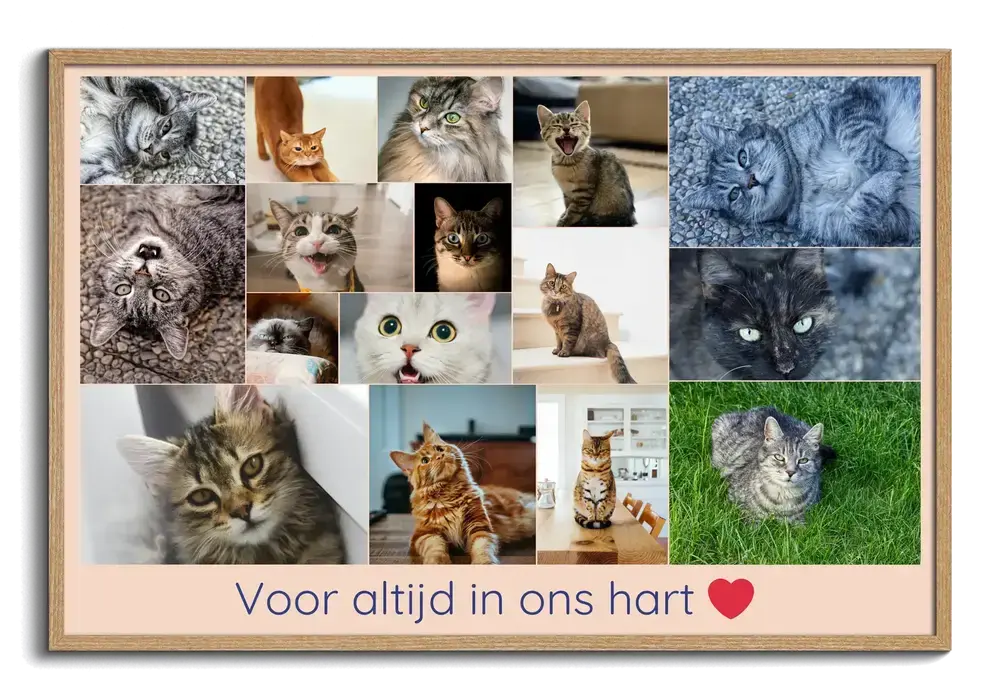 Liggende fotocollage ter herinnering aan een kat, met herdenkingstekst en rood hart in een houten lijst