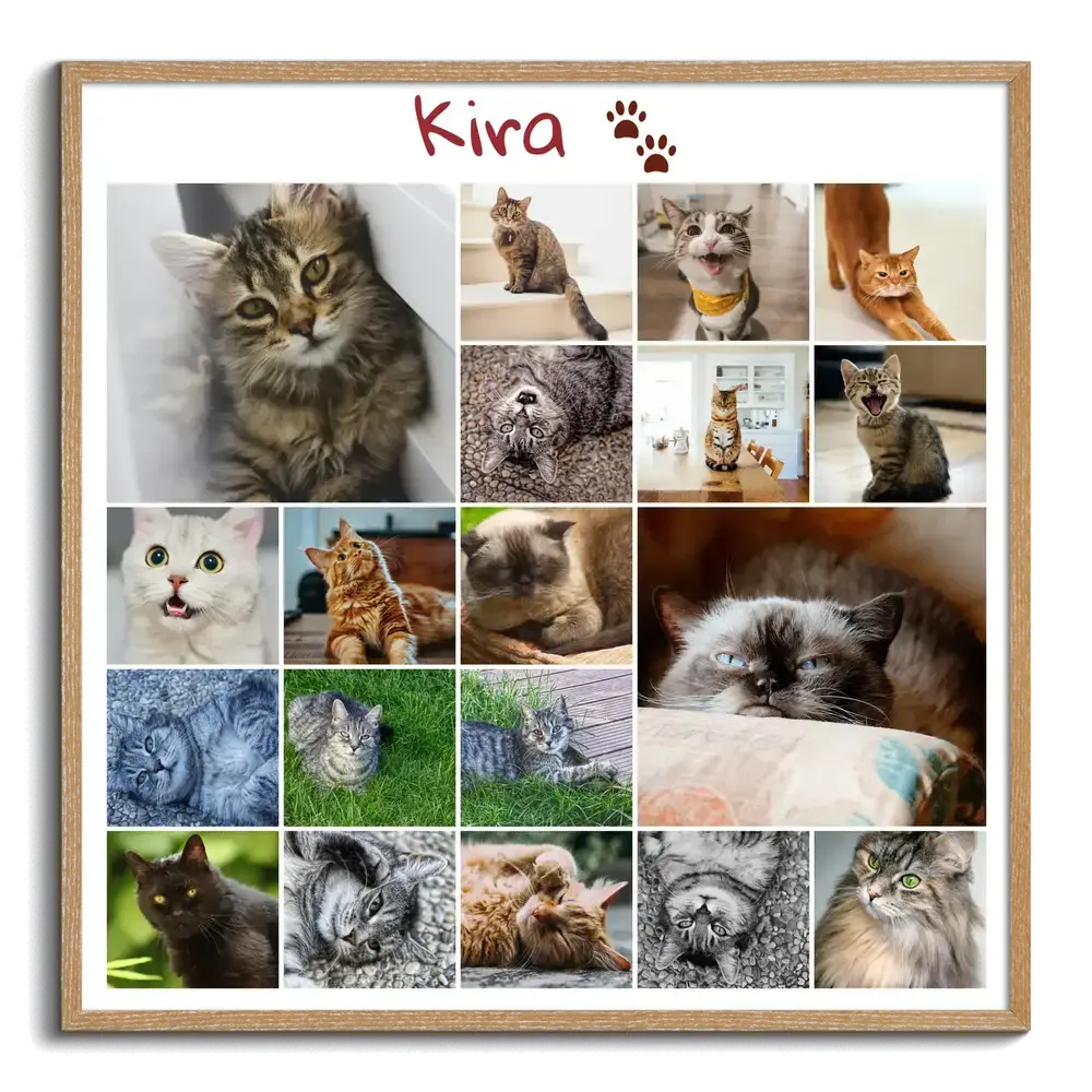 Herinneringscollage voor een kat met foto's in een speels raster, naam en pootafdrukken in een naturel houten lijst