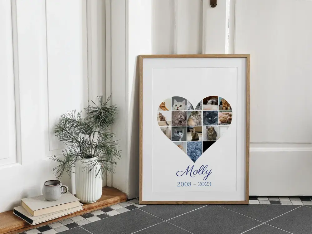 Herinneringscollage voor een kat in hartvorm, met naam en levensjaren, in houten lijst op de vloer naast een vaas