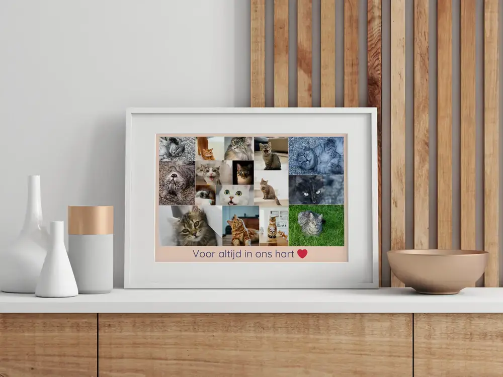 Fotocollage ter herinnering aan een kat met gedenktekst, in witte lijst op een dressoir voor houten latten