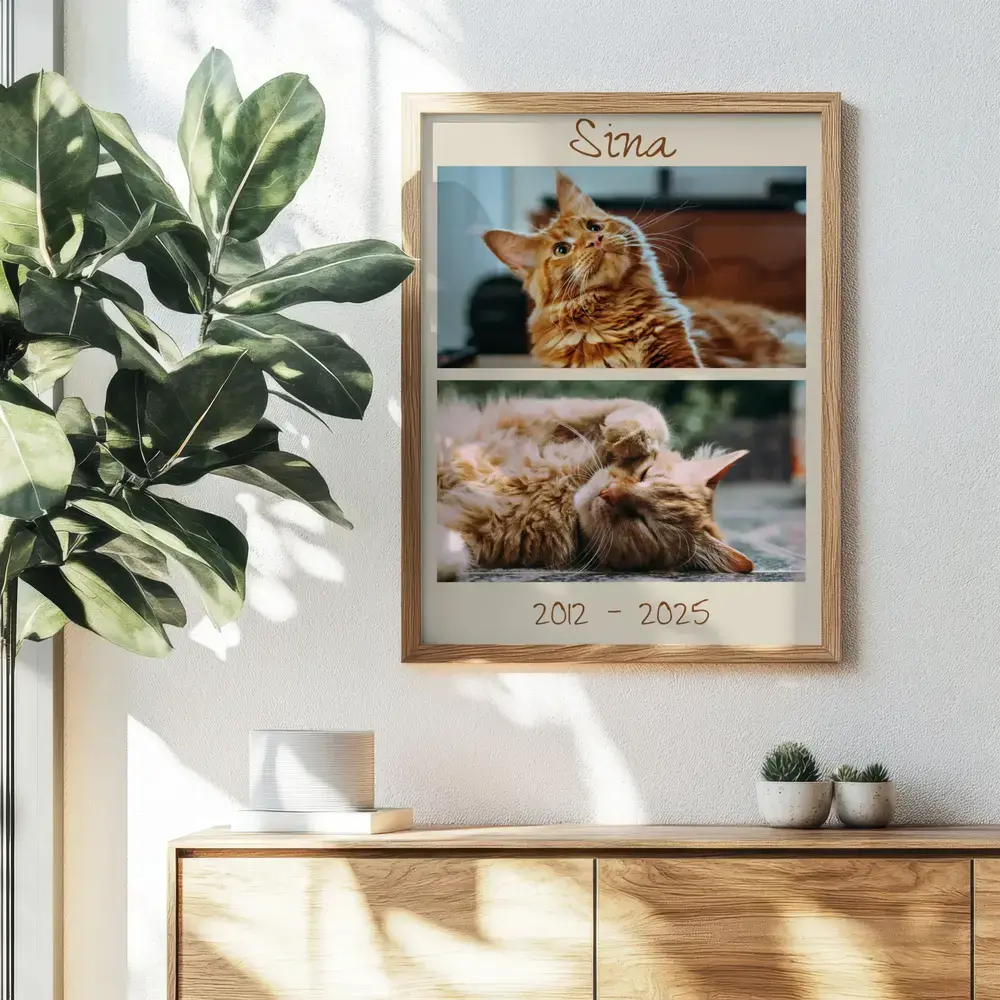 Herinneringscollage van een kat met naam en levensjaren, in een naturel houten lijst boven een dressoir naast een plant