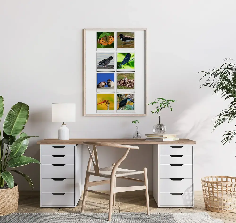 Fotocollage in polaroidstijl met vogels en insecten in een lichte houten lijst boven een bureau met planten