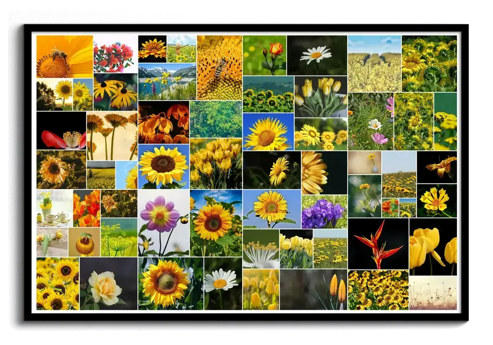 Fotocollageposter met 61 bloemenfoto’s in een speelse indeling, met smalle witte tussenruimtes en een zwarte lijst