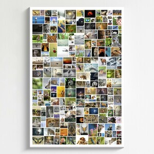 Creëer jouw wilde fotocollage als groot wandkunstwerk tot 200 foto's!