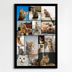 Maak nu een kattenfoto-collage met sjablonen en jouw tekst - Hart op 4 pootjes