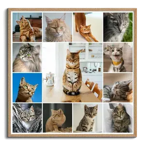 Maak nu een kattenfoto-collage met sjablonen en jouw tekst - Hart op 4 pootjes
