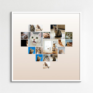Maak nu je kattenfoto hart-collage - met eigen tekst of naam
