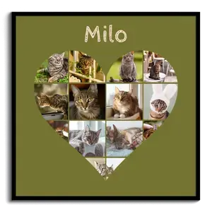 Hartcollage met kattenfoto's en tekstpers.
