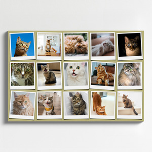Polaroid collage van je kattenfoto's – maak nu met naam en eigen tekst Polaroid collage van je kattenfoto's – maak nu met naam en eigen tekst
