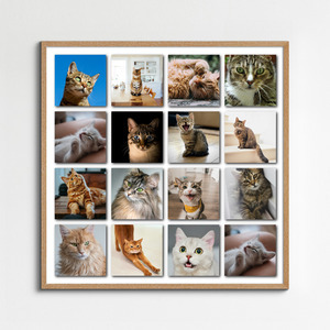Polaroid collage van je kattenfoto's – maak nu met naam en eigen tekst Polaroid collage van je kattenfoto's – maak nu met naam en eigen tekst