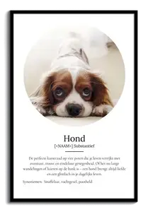 Personaliseerbaar Hondenposter: Jouw Perfecte Viervoeter Designen!