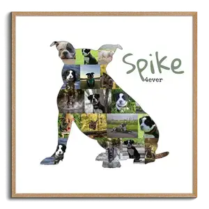 Creëer jouw unieke American Bully collage met gepersonaliseerde foto's en tekst!