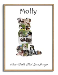 Creëer je eigen Australian Shepherd fotocollage - Hondenliefde vereeuwigen