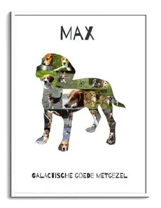 Creëer Je Eigen Beagle Collage - Persoonlijk Foto Geschenk!