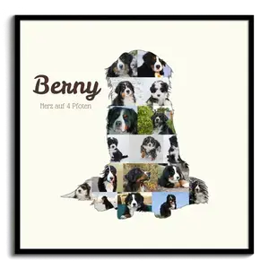 Creeër jouw eigen Berner Sennenhond fotocollage herinnering